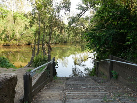 Shapcott Park - Holiday Cairns 0