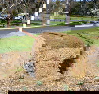 Stratford Historical Society and Museum - Holiday Cairns