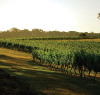 The South West Nature and Wine Drive - Holiday Cairns