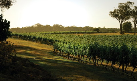 The South West Nature And Wine Drive - Holiday Cairns 0