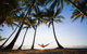 Tropical North Queensland - thumb 0