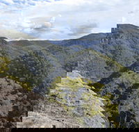 Vale of Avoca - Holiday Cairns