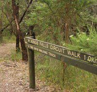 Waterfall Gully - Kings Falls Circuit Walk - Holiday Cairns