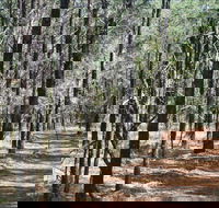 Yana-y Warruwi Walking Track - Holiday Cairns