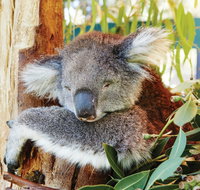 Animals and Family Fun - Holiday Cairns