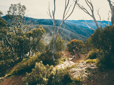Australian Alpine Epic Mountain Bike Trail - Holiday Cairns 1