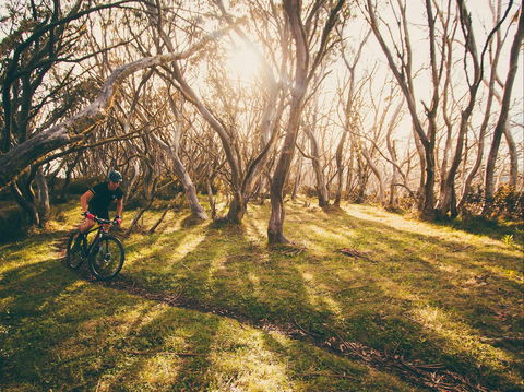Australian Alpine Epic Mountain Bike Trail - Holiday Cairns 2