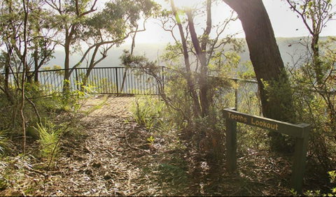 Bundanoon Creek Walking Track - Holiday Cairns 0