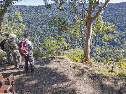 Caves Circuit, Lamington National Park - Holiday Cairns 0