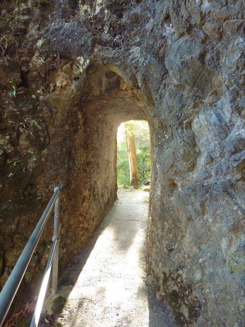Caves Circuit, Lamington National Park - Holiday Cairns 1