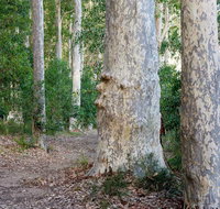 Delta Track - Holiday Cairns