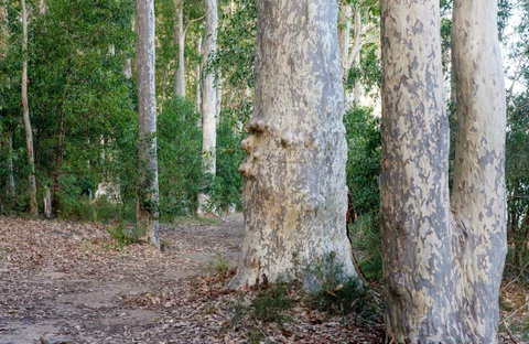 Delta Track - Holiday Cairns 0