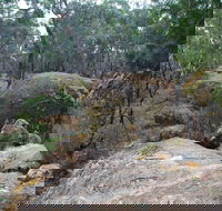 Dergholm State Park - Holiday Cairns
