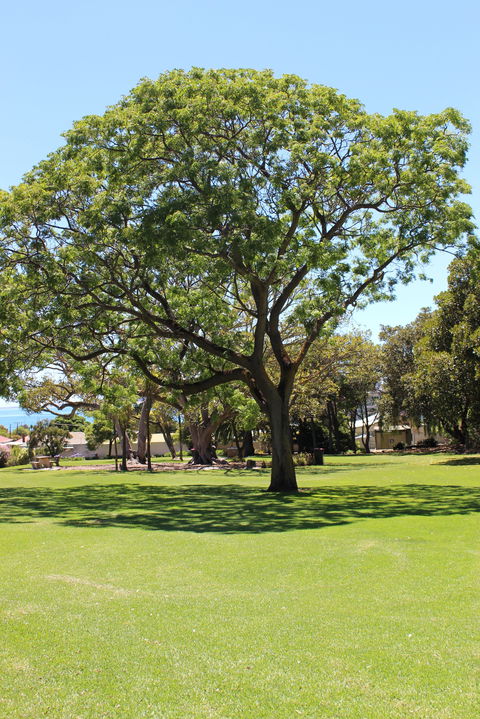 Flinders Park Playground - Holiday Cairns 0
