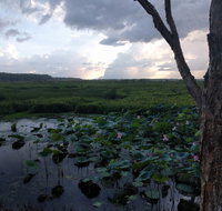 Fogg Dam Conservation Reserve - Holiday Cairns
