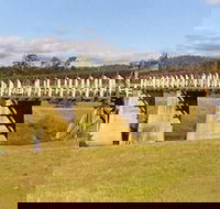 Historic Tabulam DeBurgh Timber Bridge - Holiday Cairns