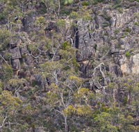 Horsnell Gully and Giles Conservation Parks