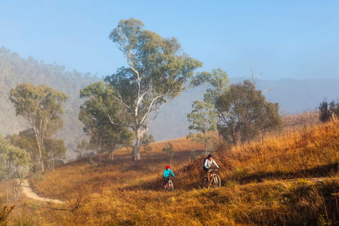 Kambah Pool To Pine Island Walking Trail - Holiday Cairns 0
