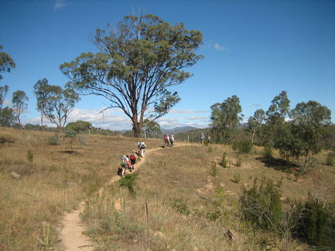 Kambah Pool To Pine Island Walking Trail - Holiday Cairns 1