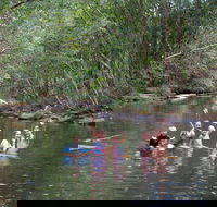 Kerewong State Forest - Holiday Cairns