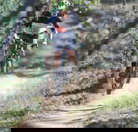 Kidsons Cycles - Holiday Cairns