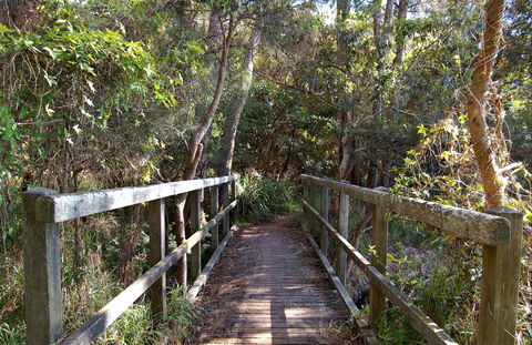 Lake Macquarie State Conservation Area - Holiday Cairns 1