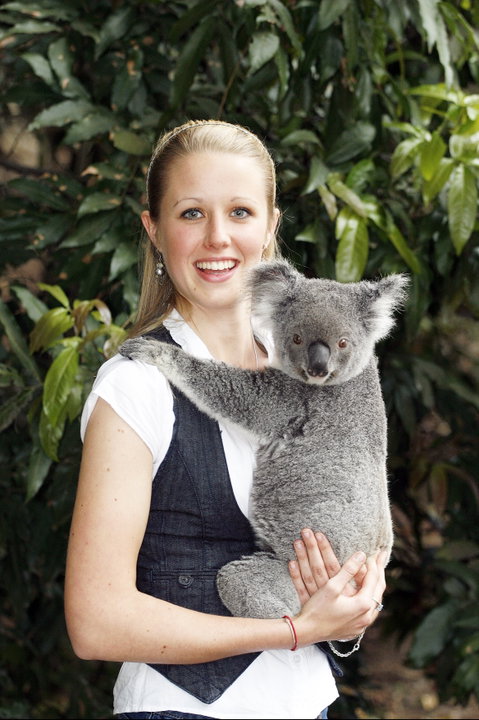 Lone Pine Koala Sanctuary - Holiday Cairns 1