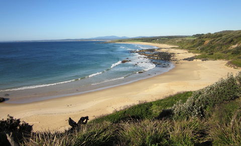 Mystery Bay To 1080 Beach Walk - Holiday Cairns 0