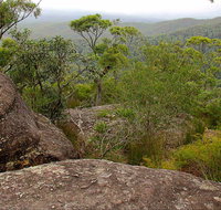 Pigeon House Mountain Didthul Walking Track
