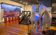 Pine Rivers Heritage Museum - thumb 0