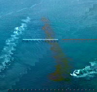 Port Noarlunga Reef Sanctuary Zone - Encounter Marine Park - Holiday Cairns