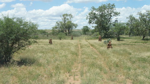 Powell Creek Telegraph Station - Holiday Cairns 2