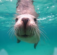 Seal Cove - Holiday Cairns