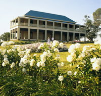 The Cedar Route - Holiday Cairns