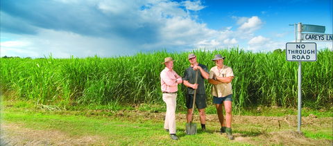 The Shed Gallery - Holiday Cairns 0