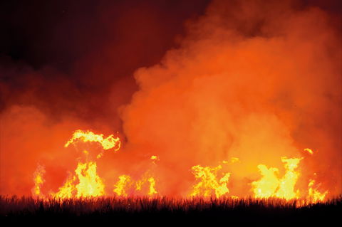 The Shed Gallery - Holiday Cairns 1