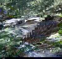 Towarri National Park - Holiday Cairns