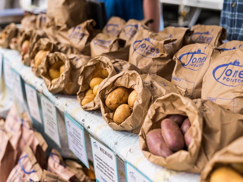 Warragul Farmers Market - Holiday Cairns 2