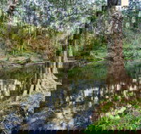 Woko National Park - Holiday Cairns