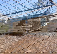 Aboriginal Carvings - Holiday Cairns