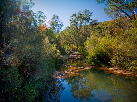 Bargo State Conservation Area - Holiday Cairns 0