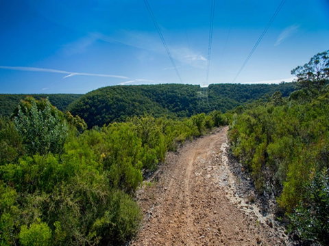 Bargo State Conservation Area - Holiday Cairns 1