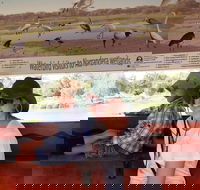 Bird Watching in Narrandera - Holiday Cairns