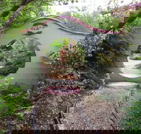 Black Dragon Gardens Wulong Yuan - Holiday Cairns