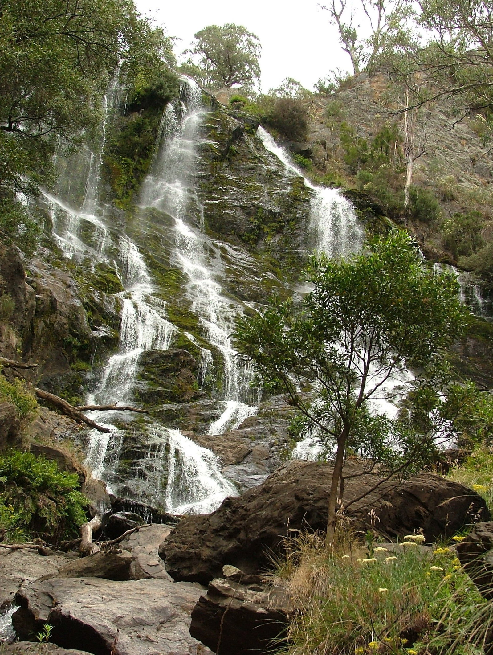 Buddong NSW Holiday Cairns