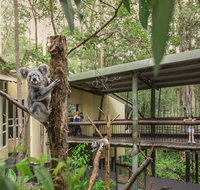 Daisy Hill Koala Centre - Holiday Cairns
