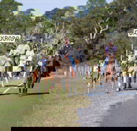 Dayboro - Holiday Cairns