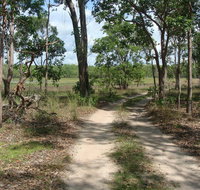 Djukbinj National Park - Holiday Cairns