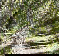 Euglah Rock Walking Track - Holiday Cairns