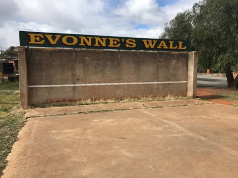 Evonne Goolagong-Cawley Wall - Holiday Cairns 0